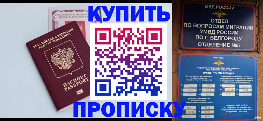 прописка в квартире в Нижнем Новгороде